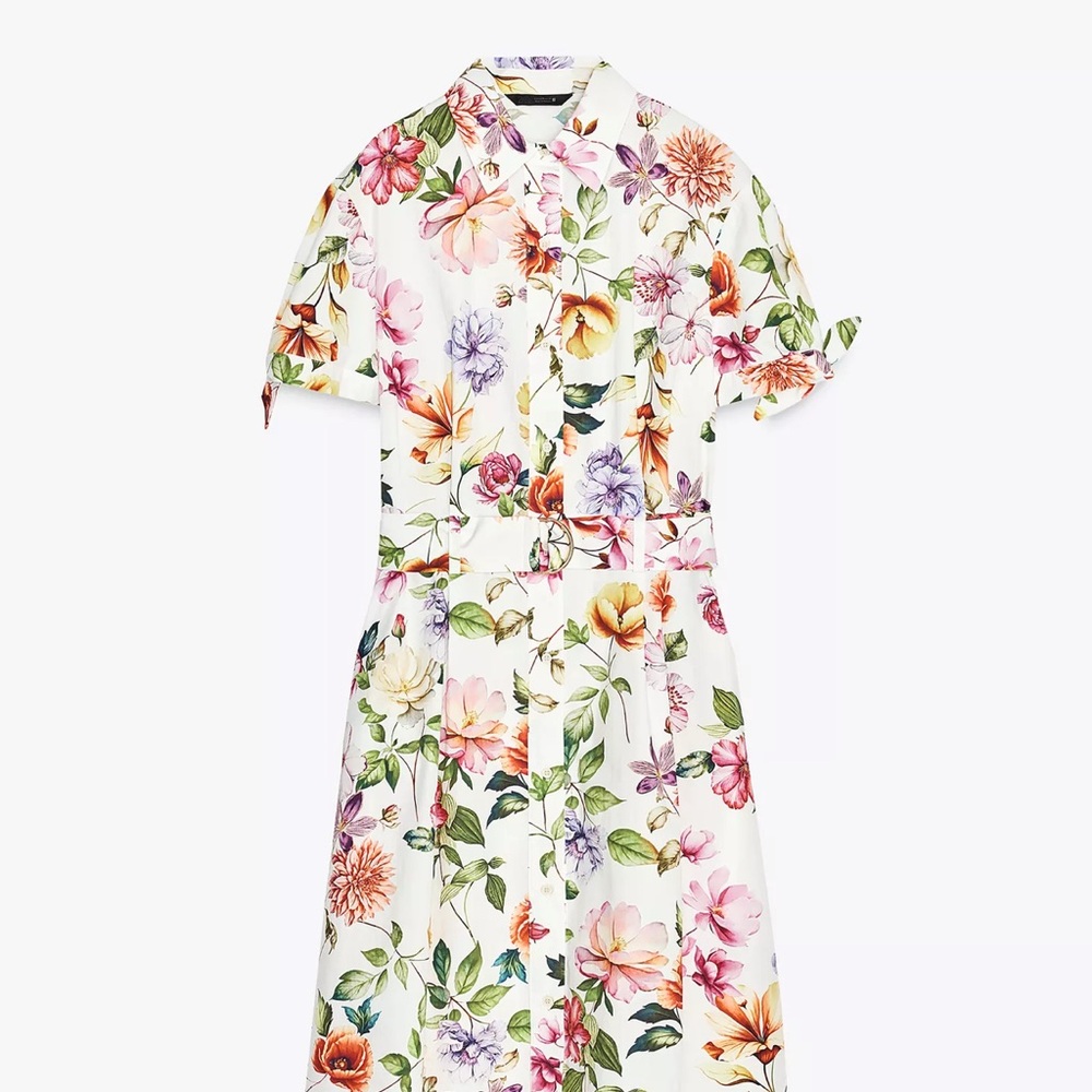 Zara Multicolor Floral Midi Dress